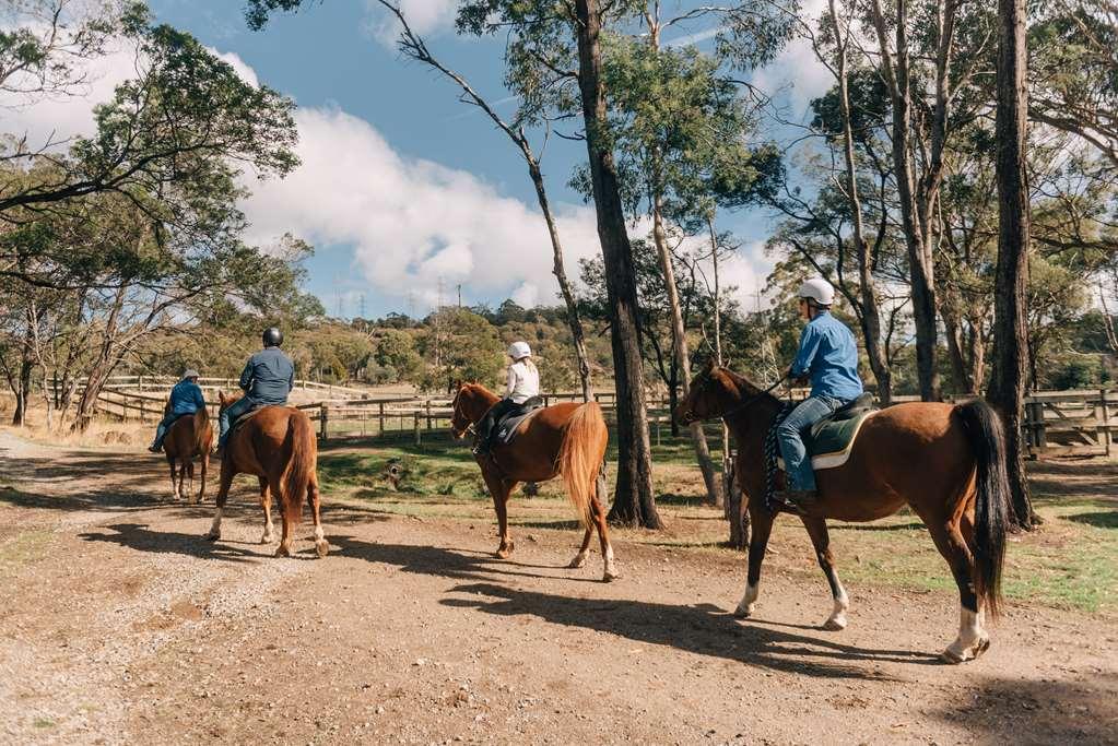 Отель Country Club Tasmania Лонсестон Экстерьер фото